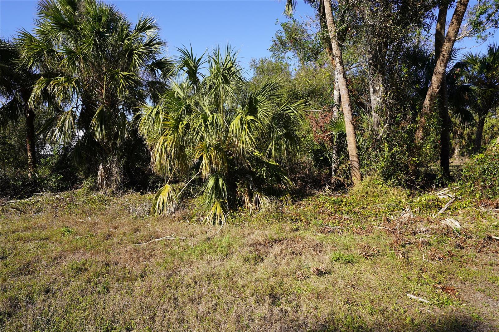 16150 ARCARO AVE, PORT CHARLOTTE, FL — photo 2