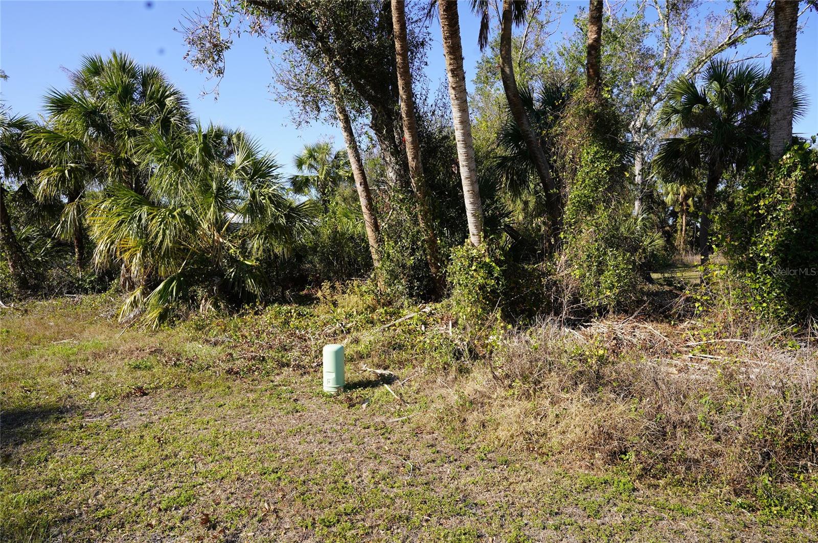 16150 ARCARO AVE, PORT CHARLOTTE, FL — photo 3