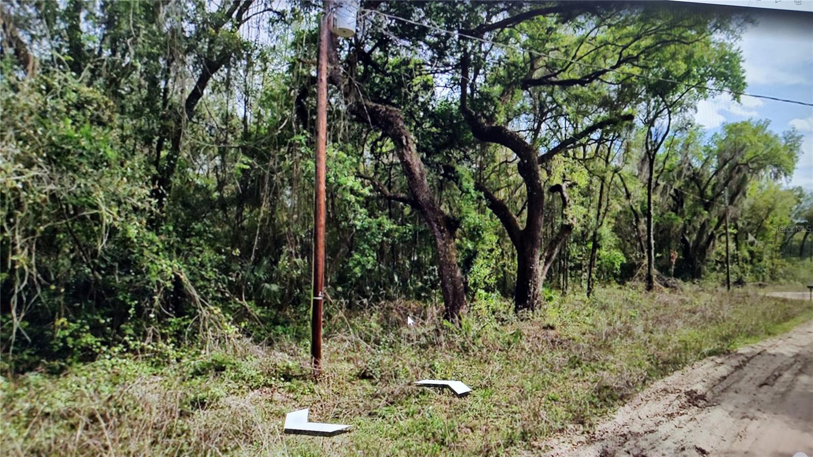 00 CLIFFORD ST, INTERLACHEN, FL — photo 2