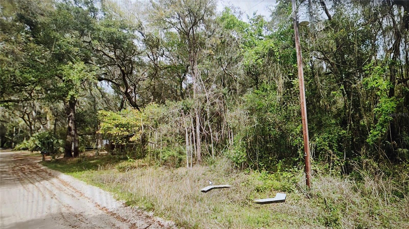 00 CLIFFORD ST, INTERLACHEN, FL — photo 3