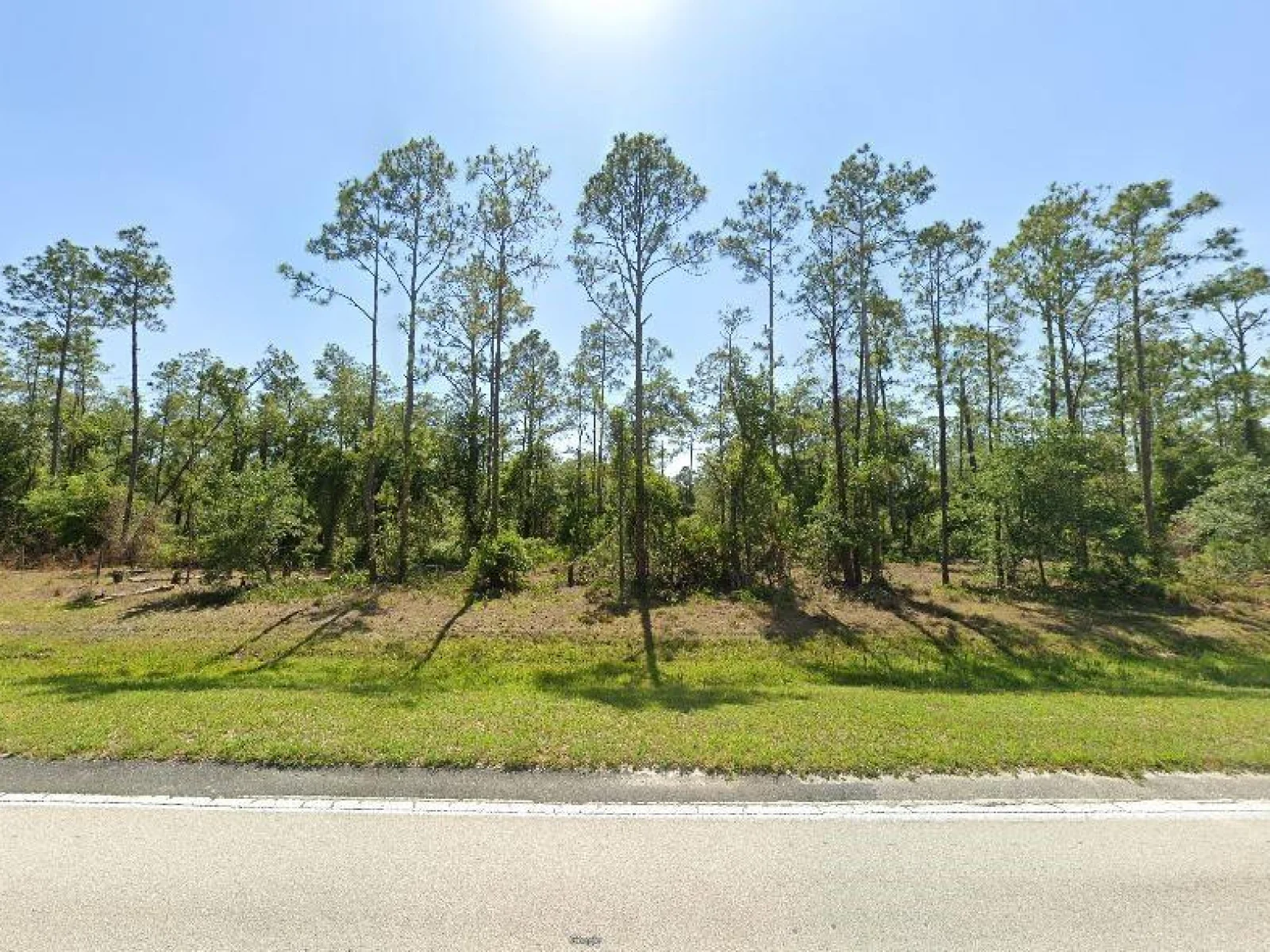 RIVER RANCH BLVD, LAKE WALES, FL — photo 2
