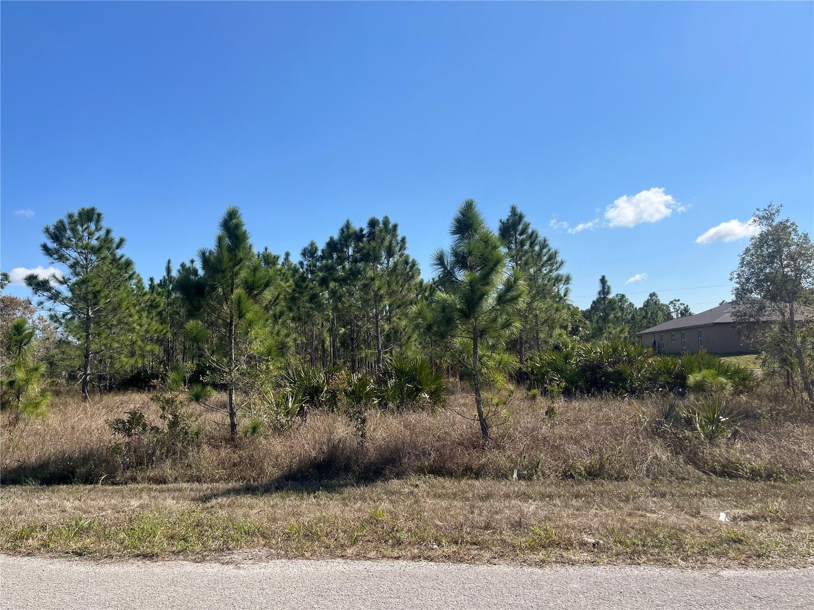 1247 BRUNELL AVE, FORT MYERS, FL