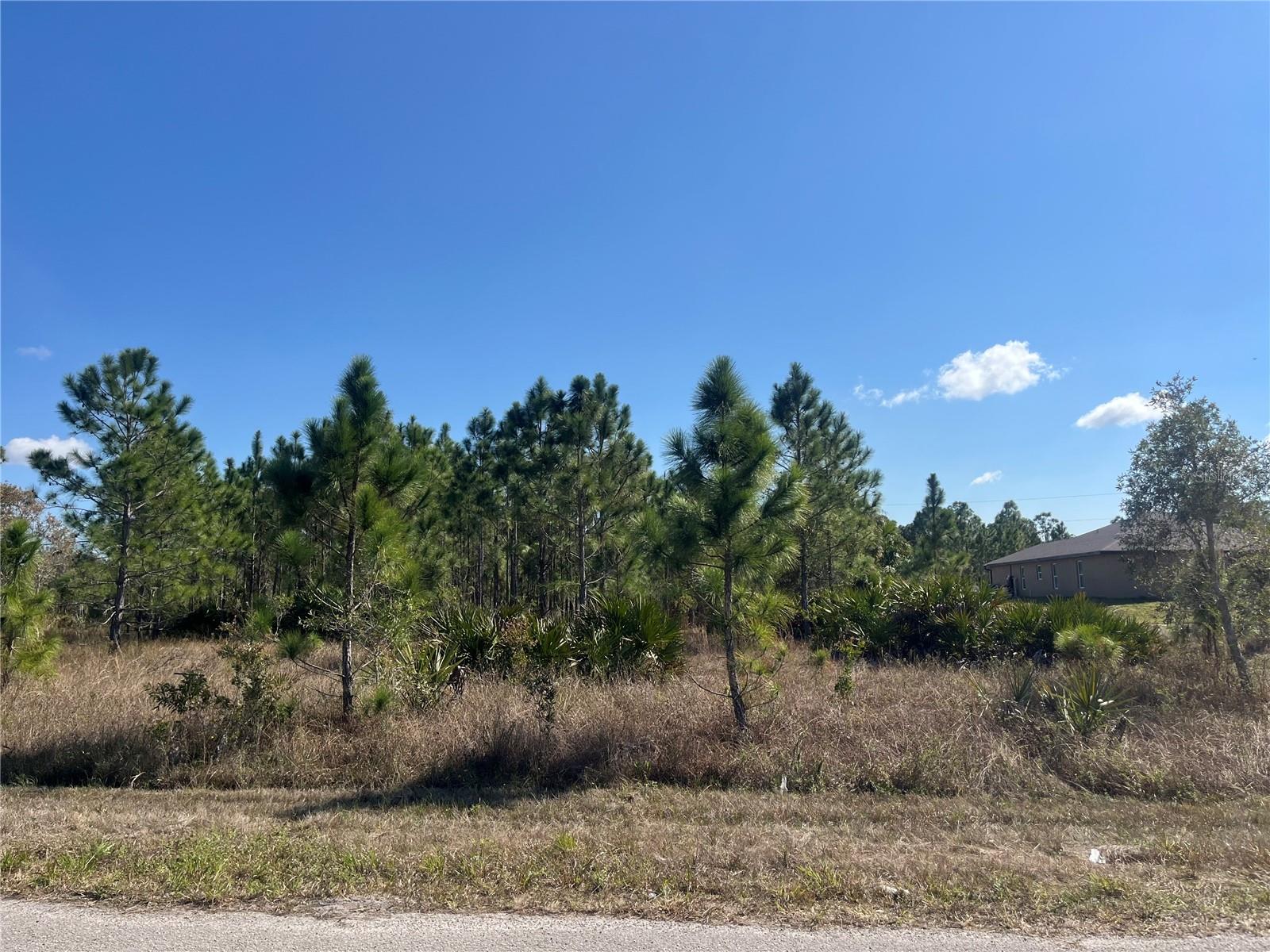 1247 BRUNELL AVE, FORT MYERS, FL — photo 5