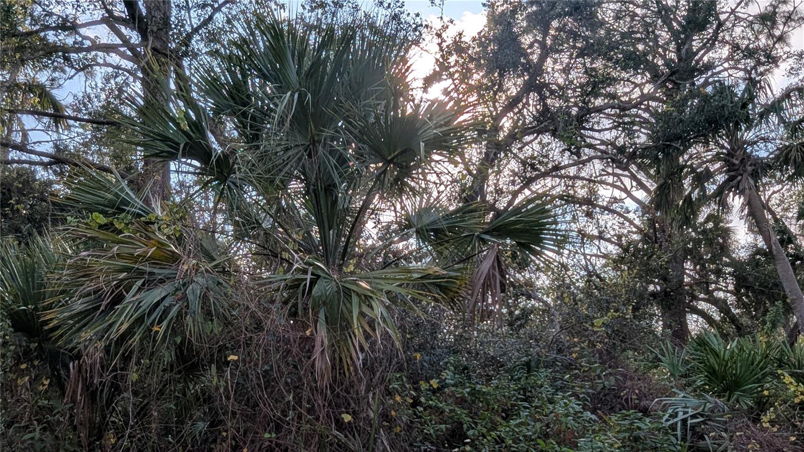 107 JUPER ST, PORT CHARLOTTE, FL — photo 8