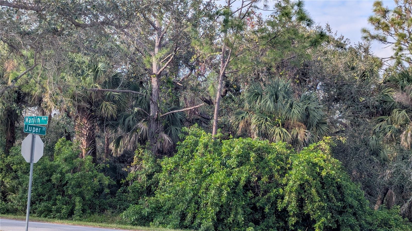 107 JUPER ST, PORT CHARLOTTE, FL — photo 10