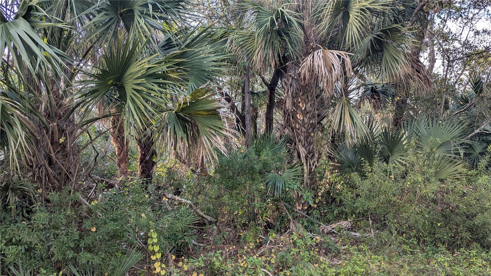 107 JUPER ST, PORT CHARLOTTE, FL — photo 9