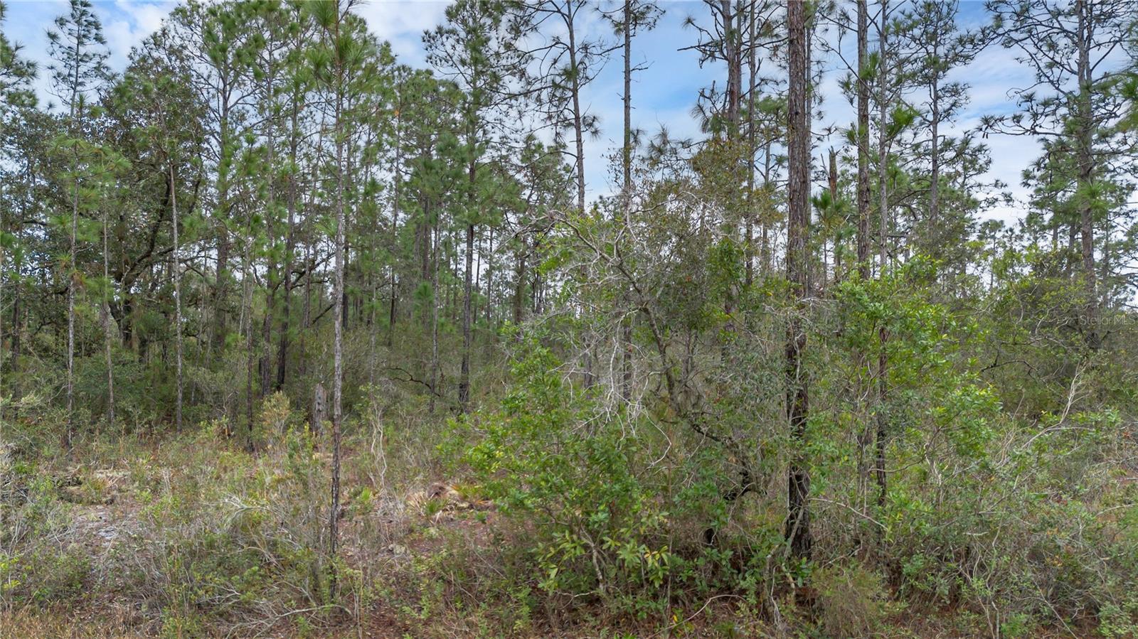 209 EL DORADO DR, INDIAN LAKE ESTATES, FL — photo 4