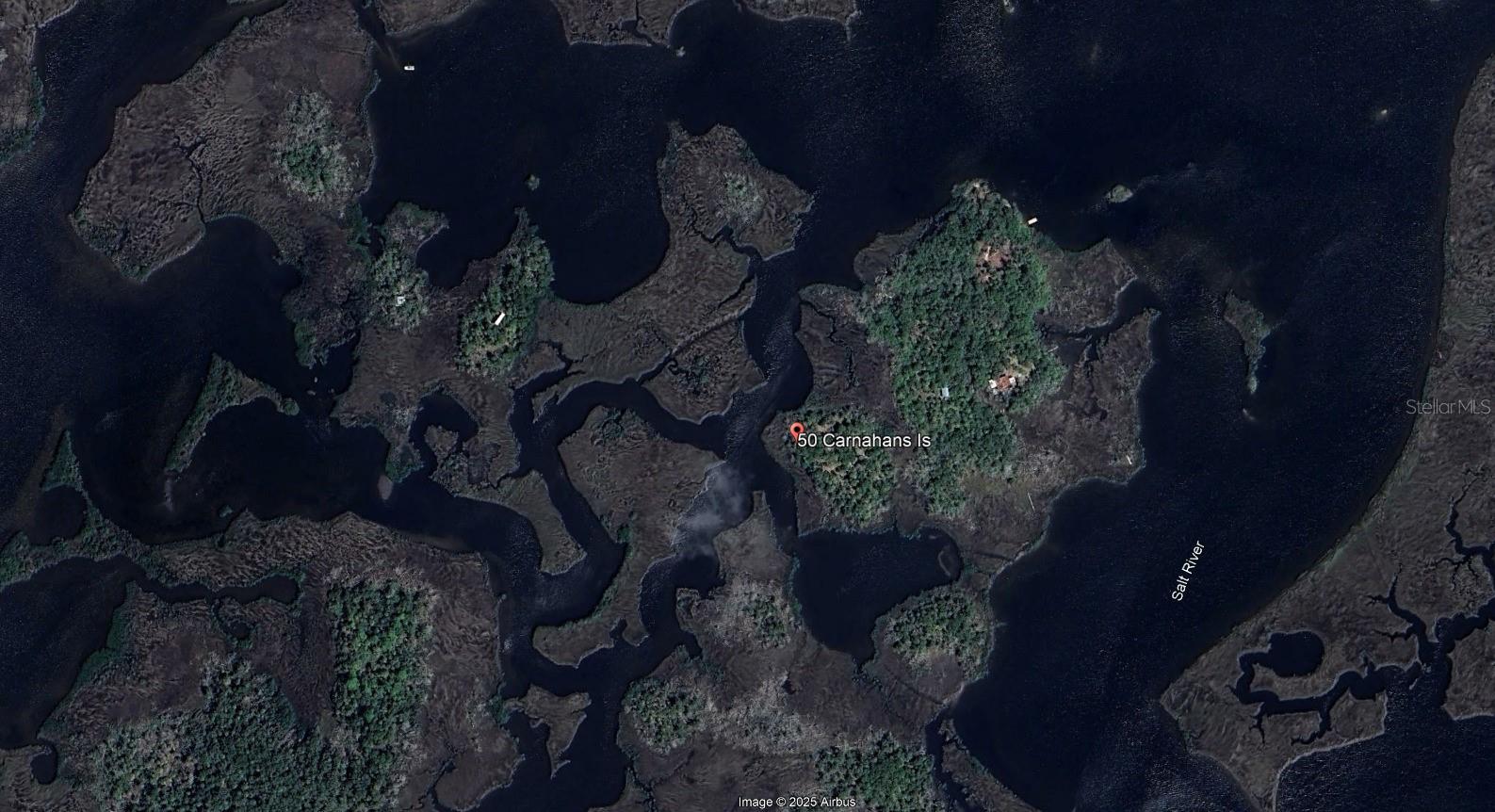50 CARNAHANS, CRYSTAL RIVER, FL — photo 4