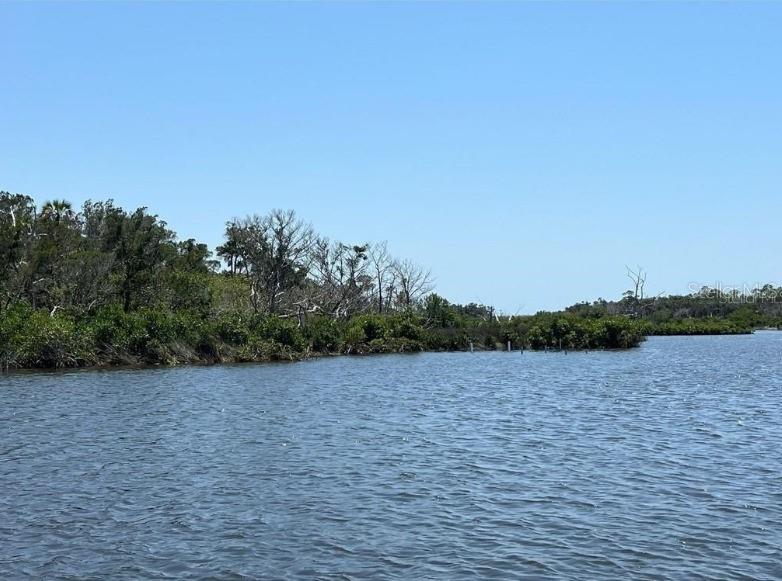 50 CARNAHANS, CRYSTAL RIVER, FL — photo 7