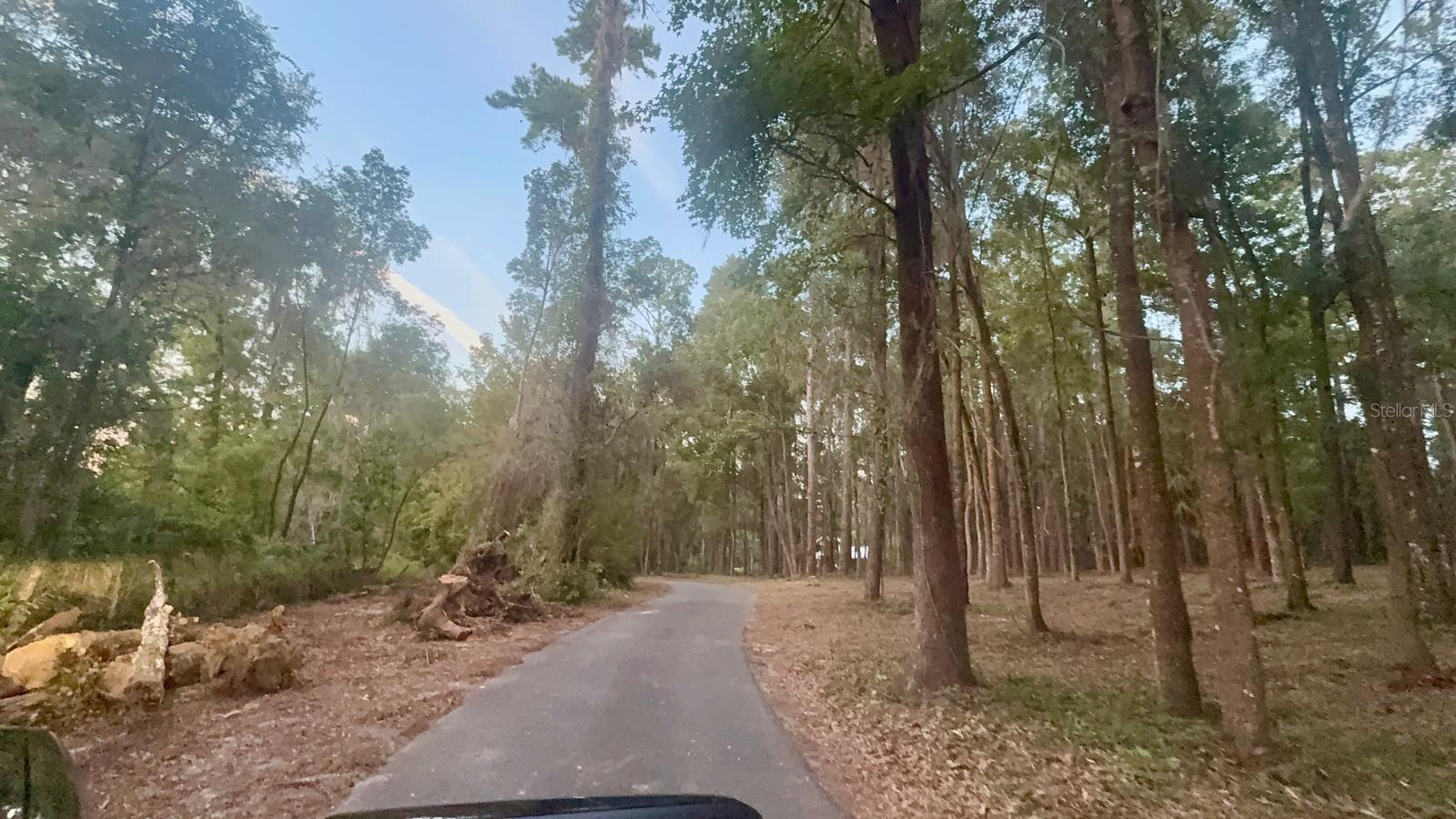 0 SE 40TH AVE, BELLEVIEW, FL — photo 48