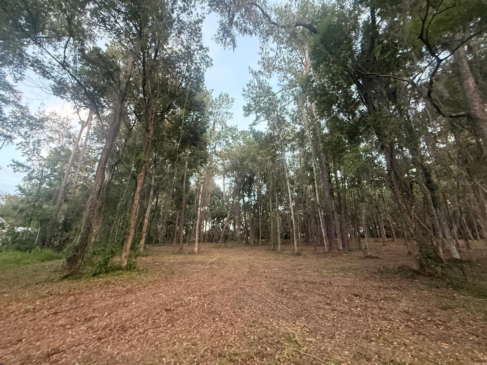 0 SE 40TH AVE, BELLEVIEW, FL — photo 49