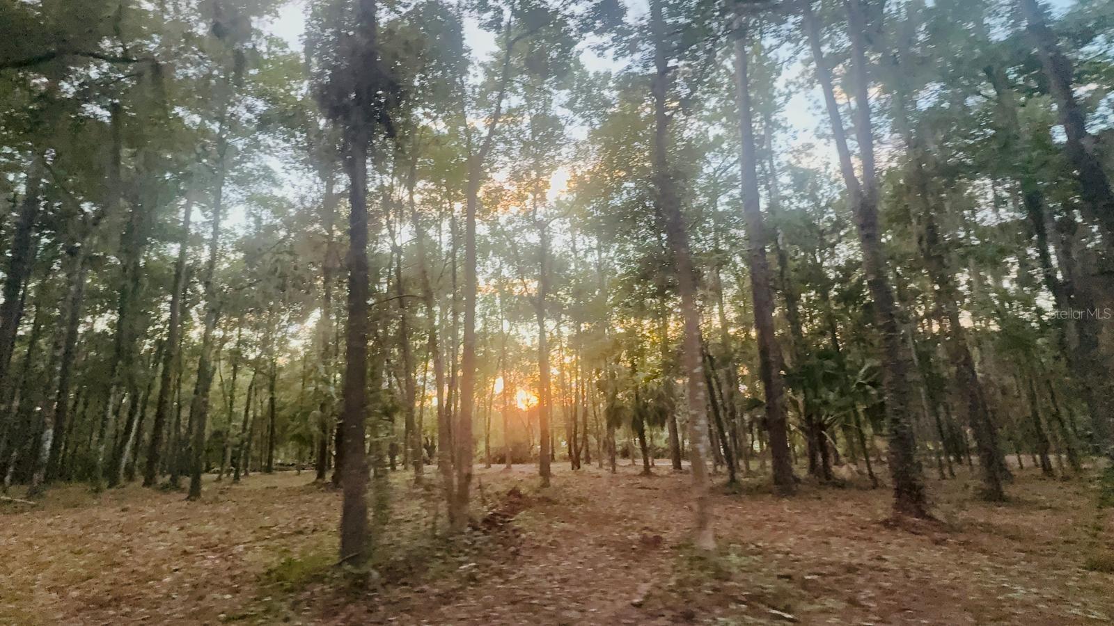 0 SE 40TH AVE, BELLEVIEW, FL — photo 51