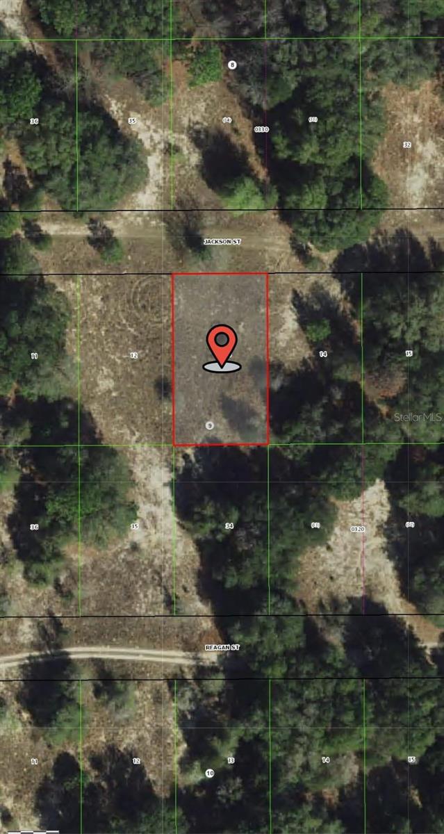 2407 JACKSON ST, INVERNESS, FL — photo 6