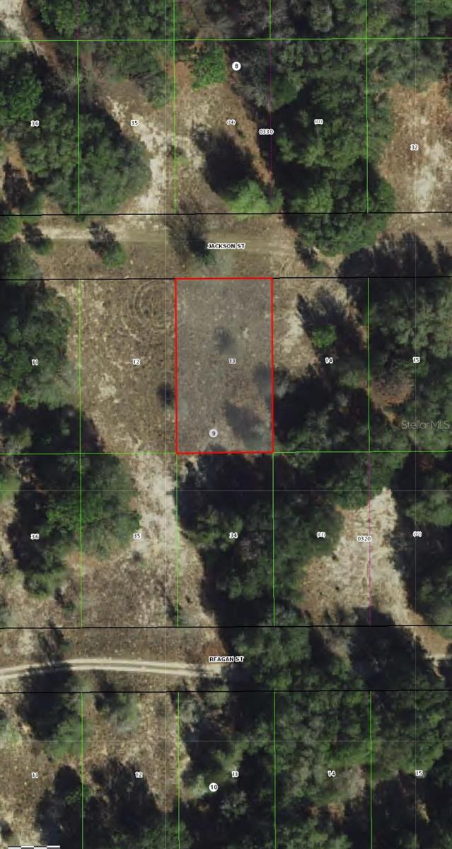 2407 JACKSON ST, INVERNESS, FL — photo 3