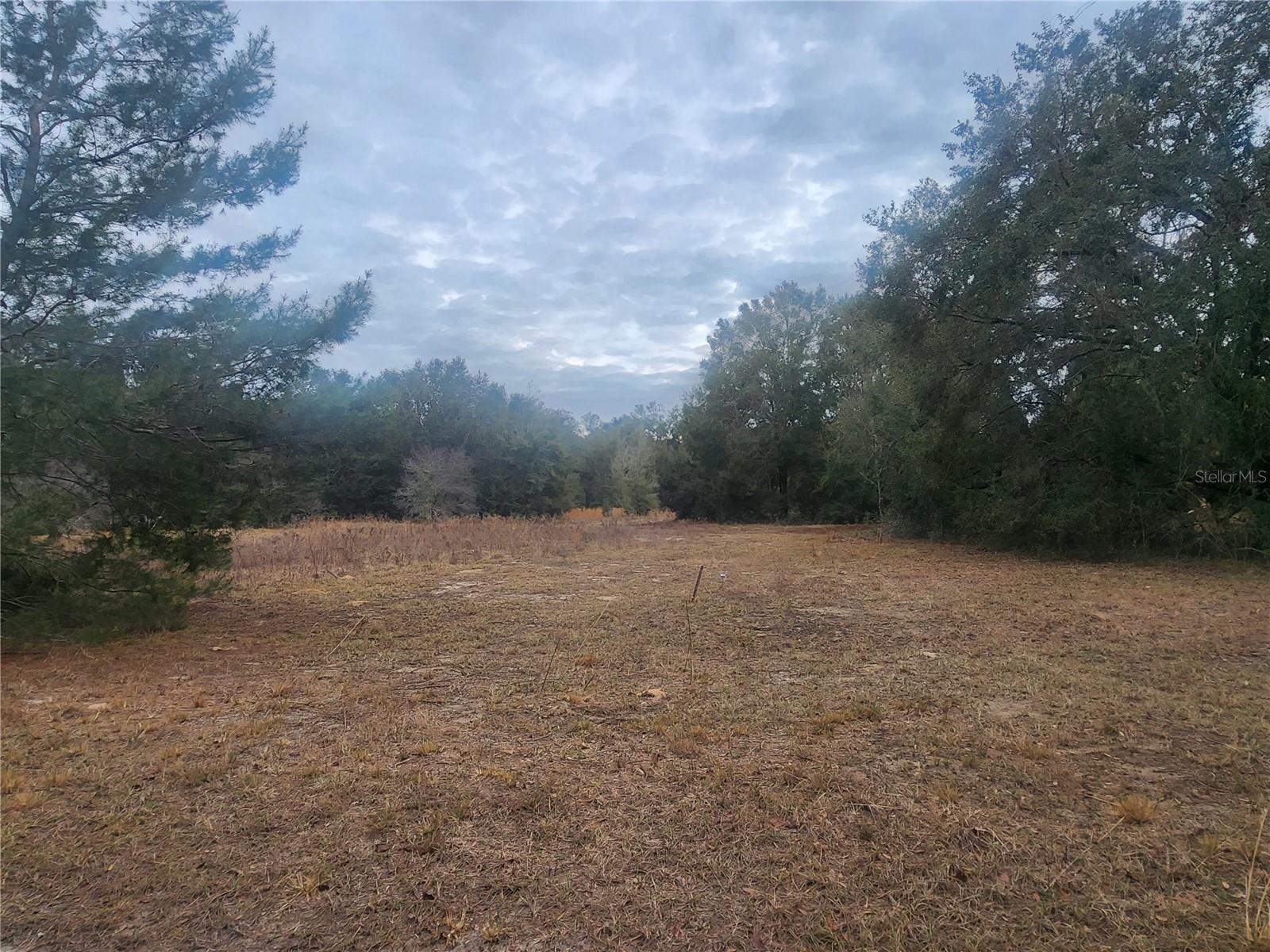 2407 JACKSON ST, INVERNESS, FL — photo 4