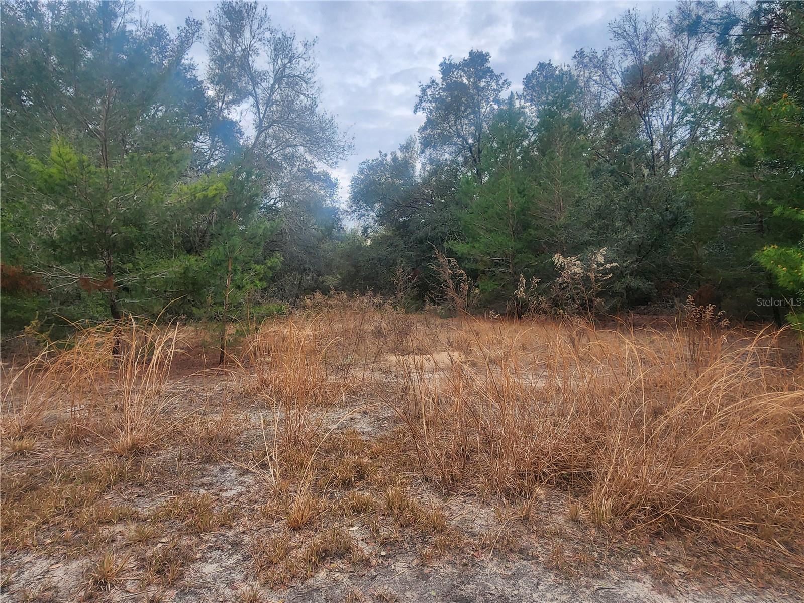 2407 JACKSON ST, INVERNESS, FL — photo 7