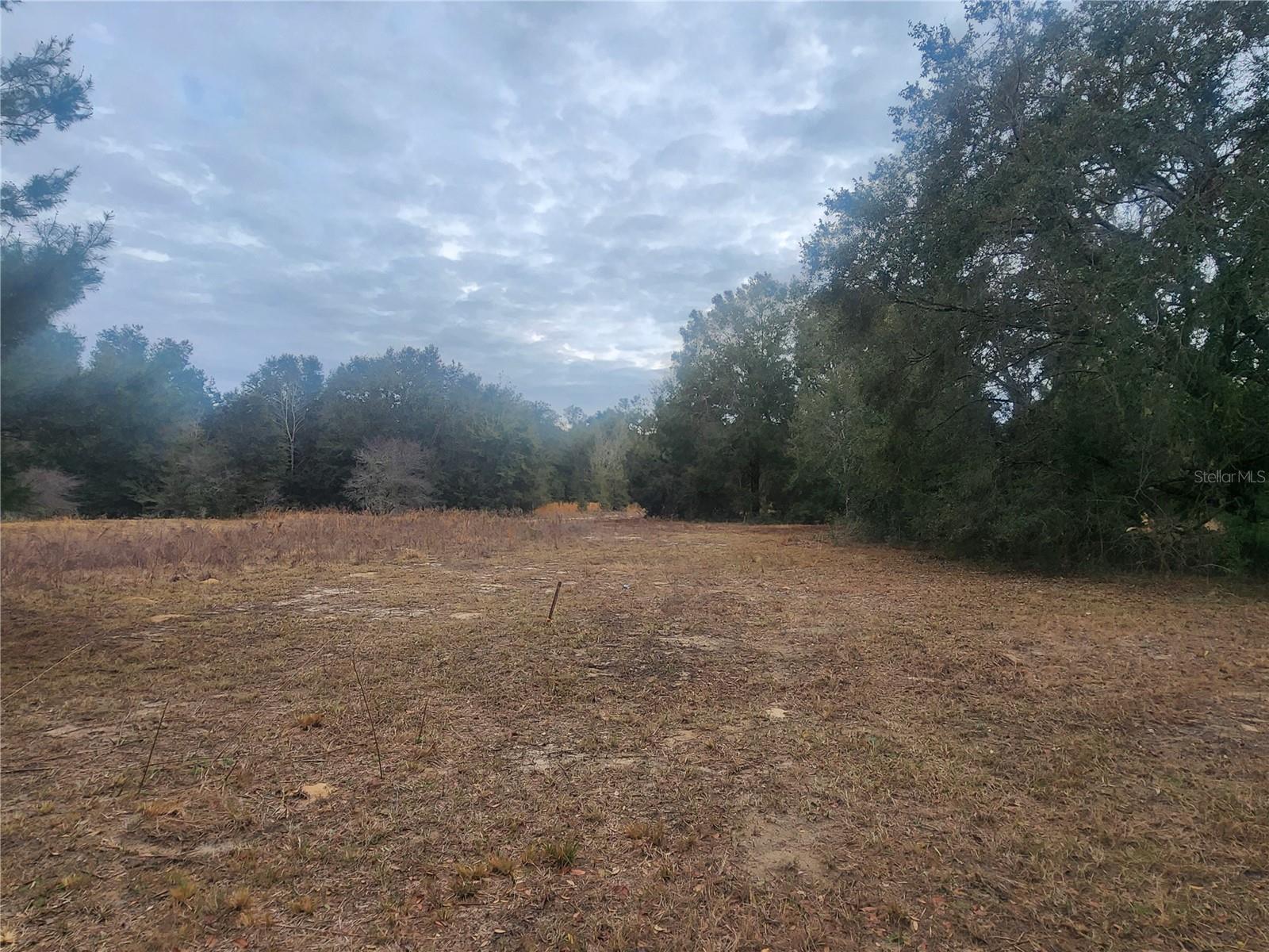 2407 JACKSON ST, INVERNESS, FL — photo 11