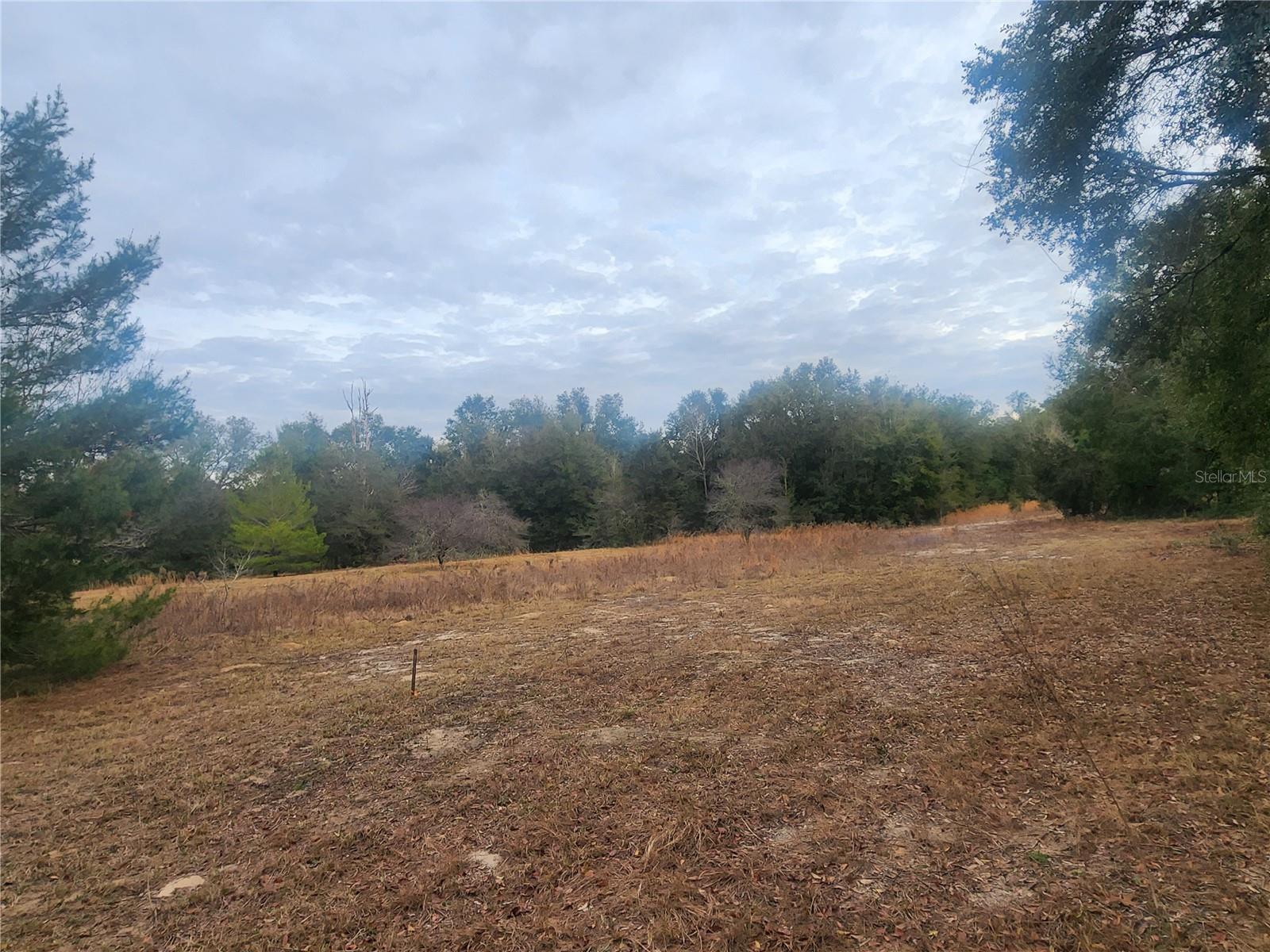 2407 JACKSON ST, INVERNESS, FL — photo 14