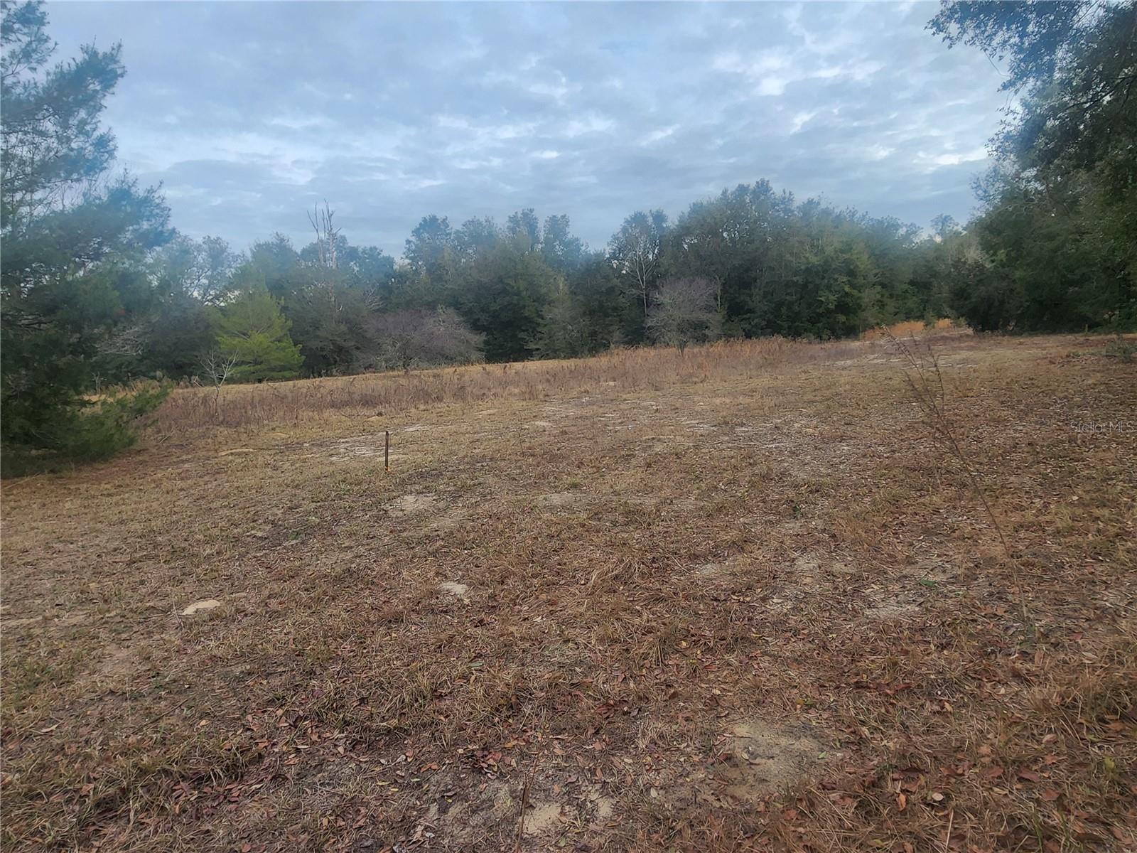 2407 JACKSON ST, INVERNESS, FL — photo 15