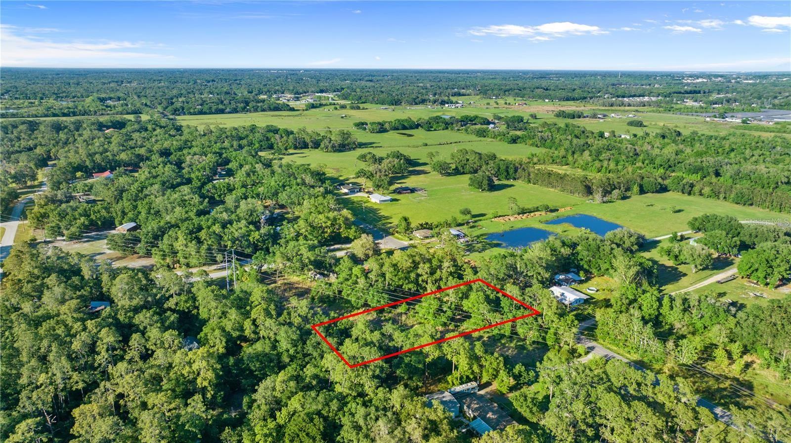 1416 WALKER RD, LAKELAND, FL — photo 4