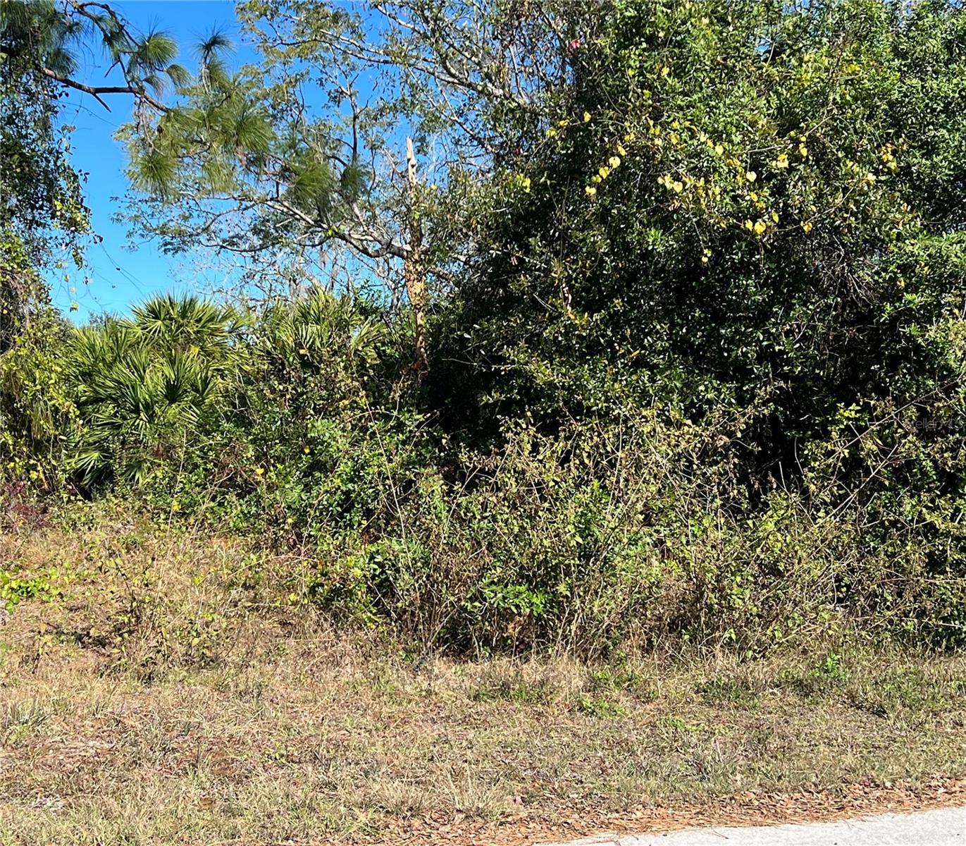 510 CALLIANDRA DR, INDIAN LAKE ESTATES, FL — photo 4