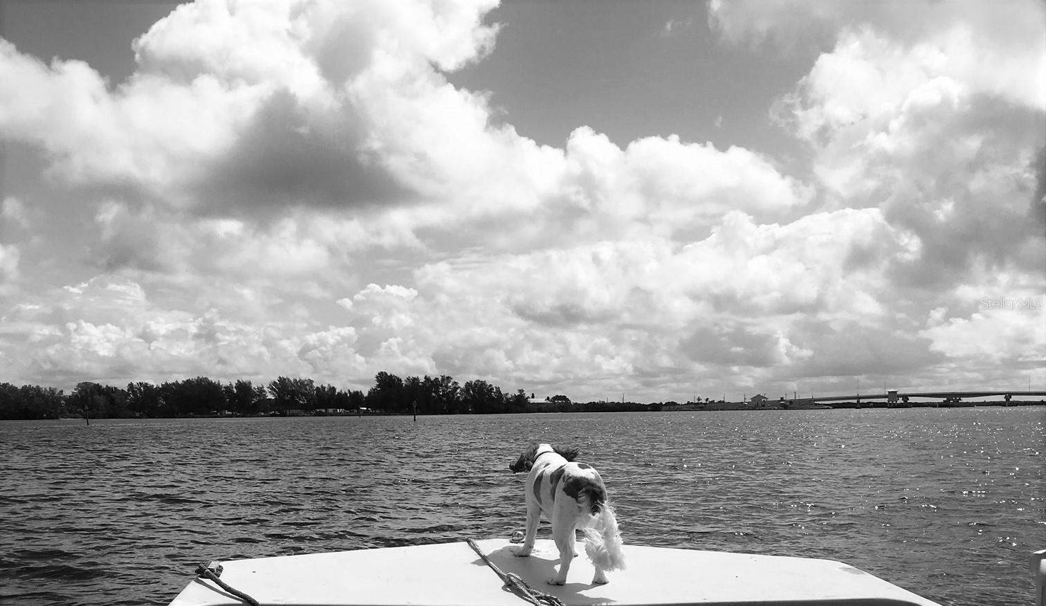 4198 GARDNER DR, PORT CHARLOTTE, FL — photo 9