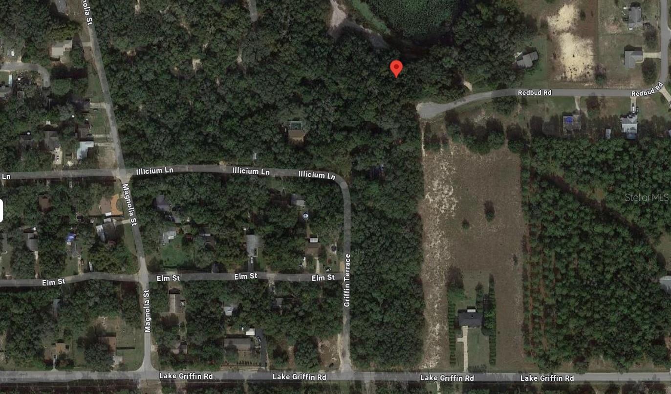 TBD REDBUD RD, LADY LAKE, FL