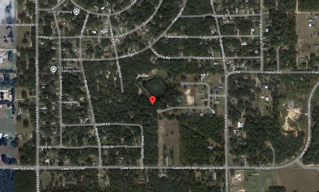 TBD REDBUD RD, LADY LAKE, FL — photo 5