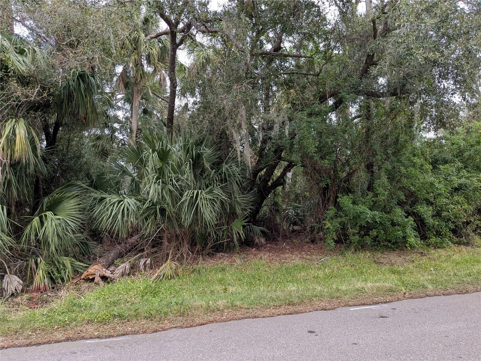 22438 BLANCHARD AVE, PORT CHARLOTTE, FL — photo 6