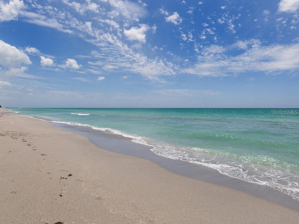 104 CAPRI ISLES BLVD #112, VENICE, FL — photo 42