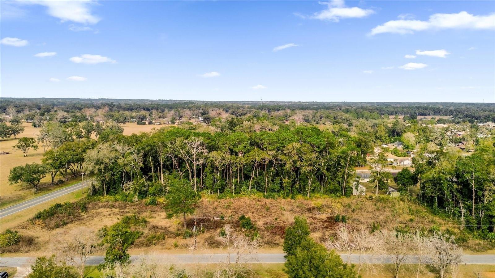 3653 NE JACKSONVILLE RD, OCALA, FL — photo 17