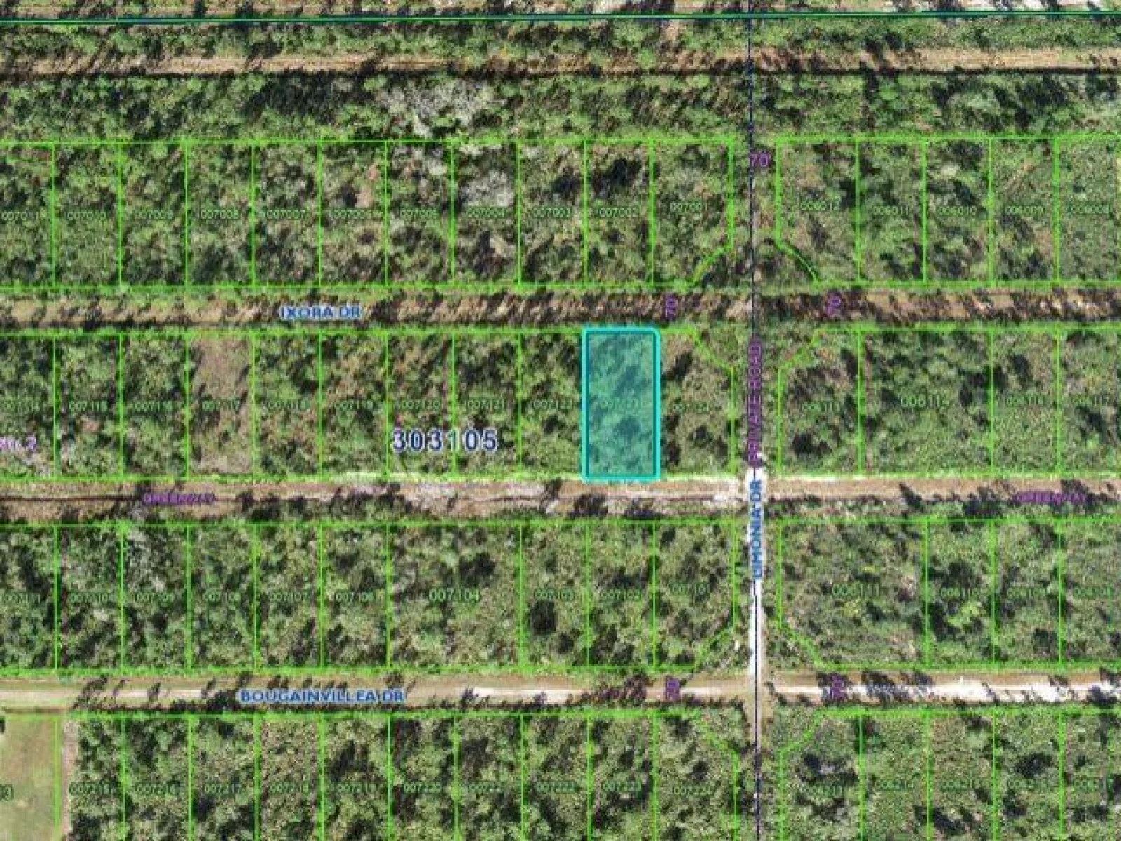 203 IXORA DR, INDIAN LAKE ESTATES, FL — photo 3