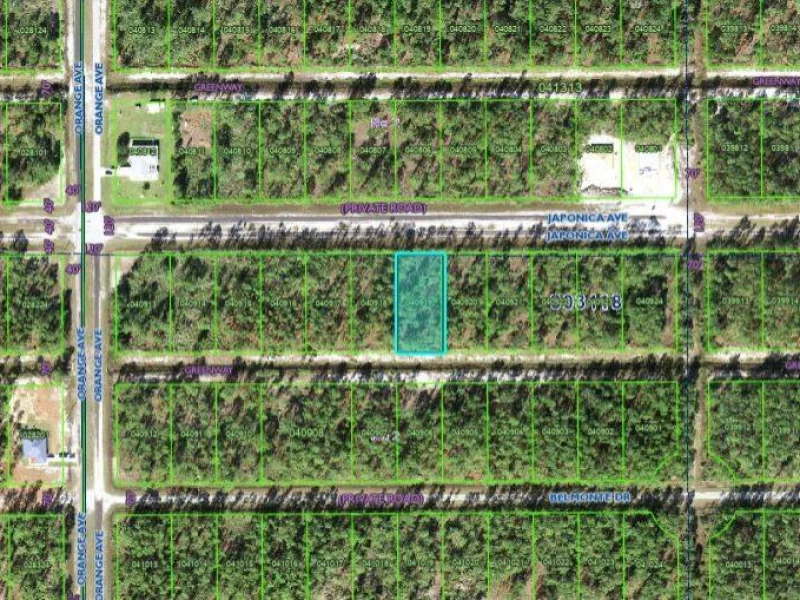 711 JAPONICA AVE, INDIAN LAKE ESTATES, FL