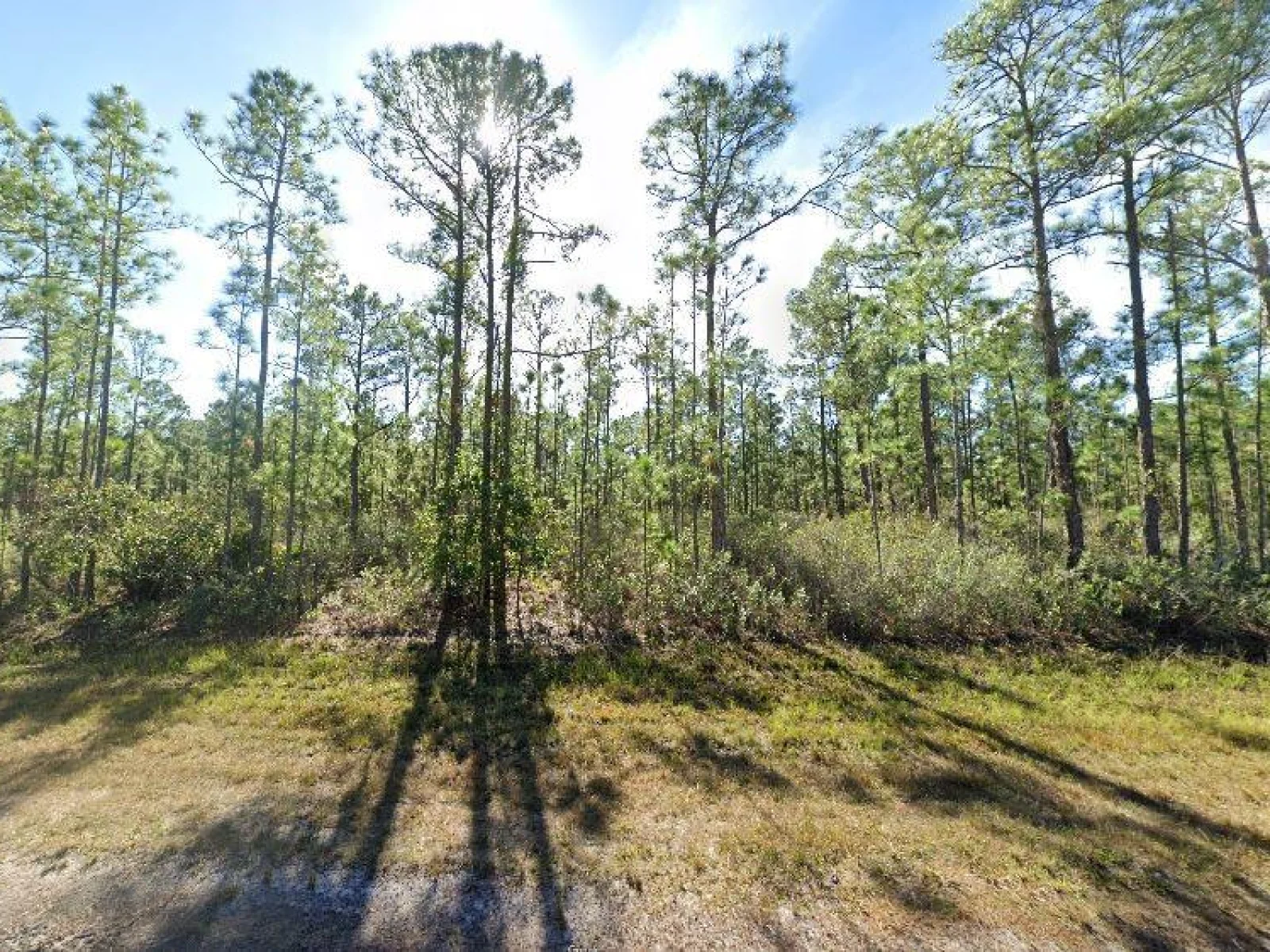 711 JAPONICA AVE, INDIAN LAKE ESTATES, FL — photo 2