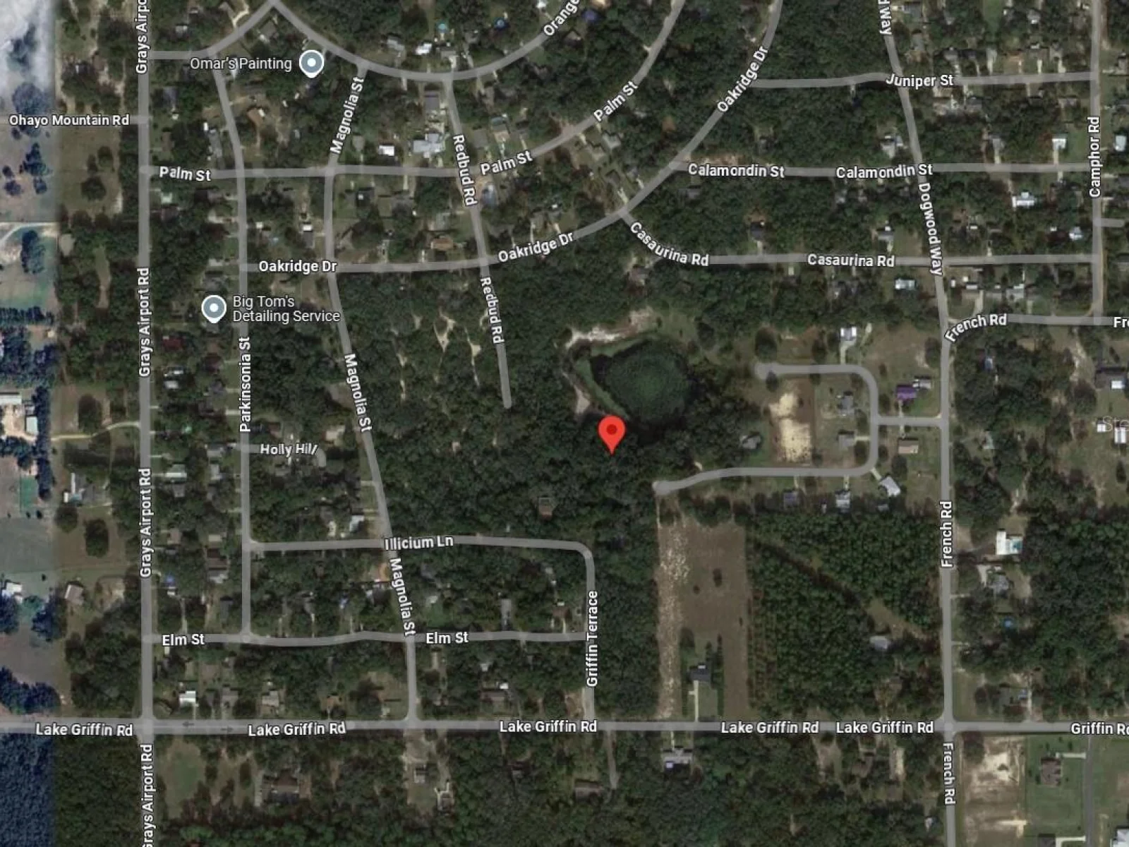 TBD REDBUD ROAD, LADY LAKE, FL — photo 2