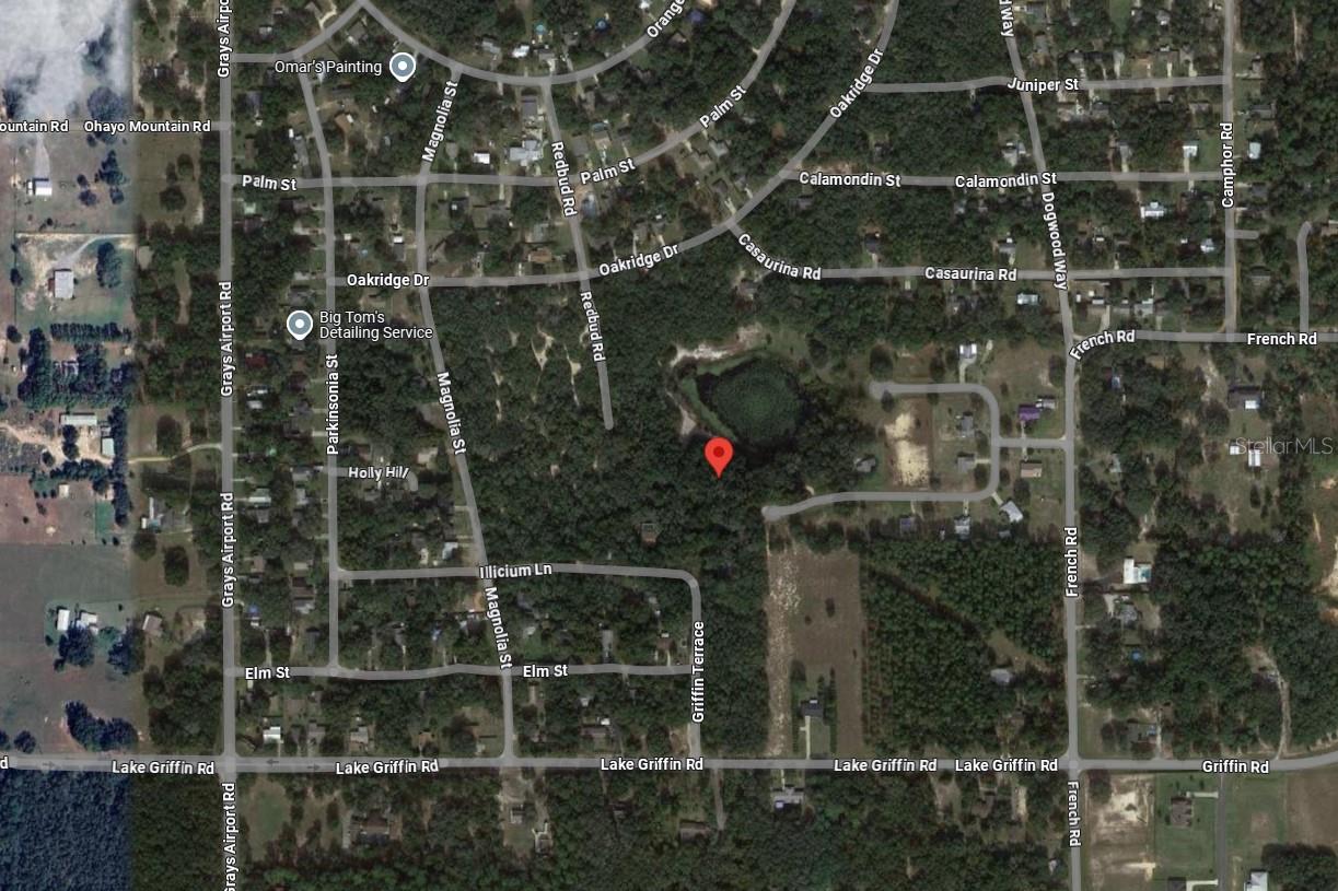 TBD REDBUD ROAD, LADY LAKE, FL