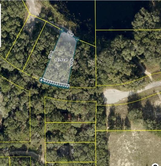 TBD REDBUD ROAD, LADY LAKE, FL — photo 5