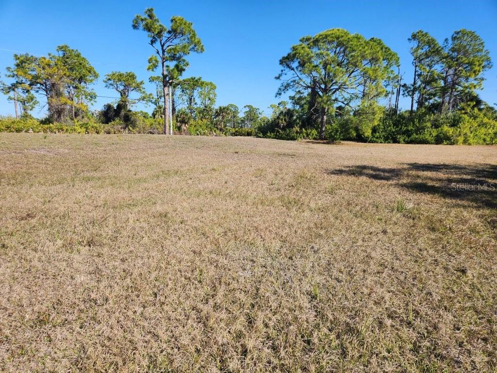 155 JADE ST, ROTONDA WEST, FL — photo 5