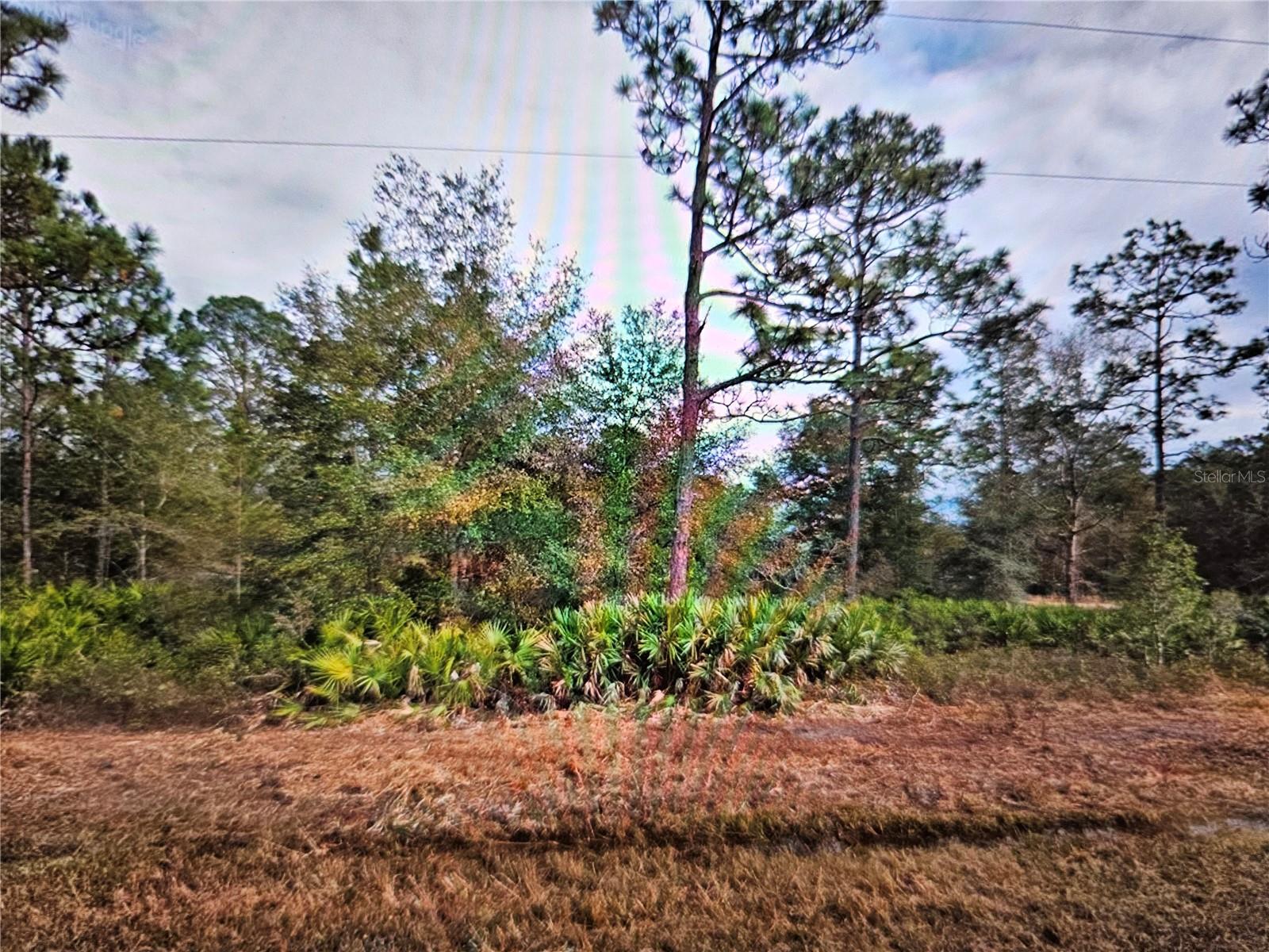 CREAGER AVE, INTERLACHEN, FL