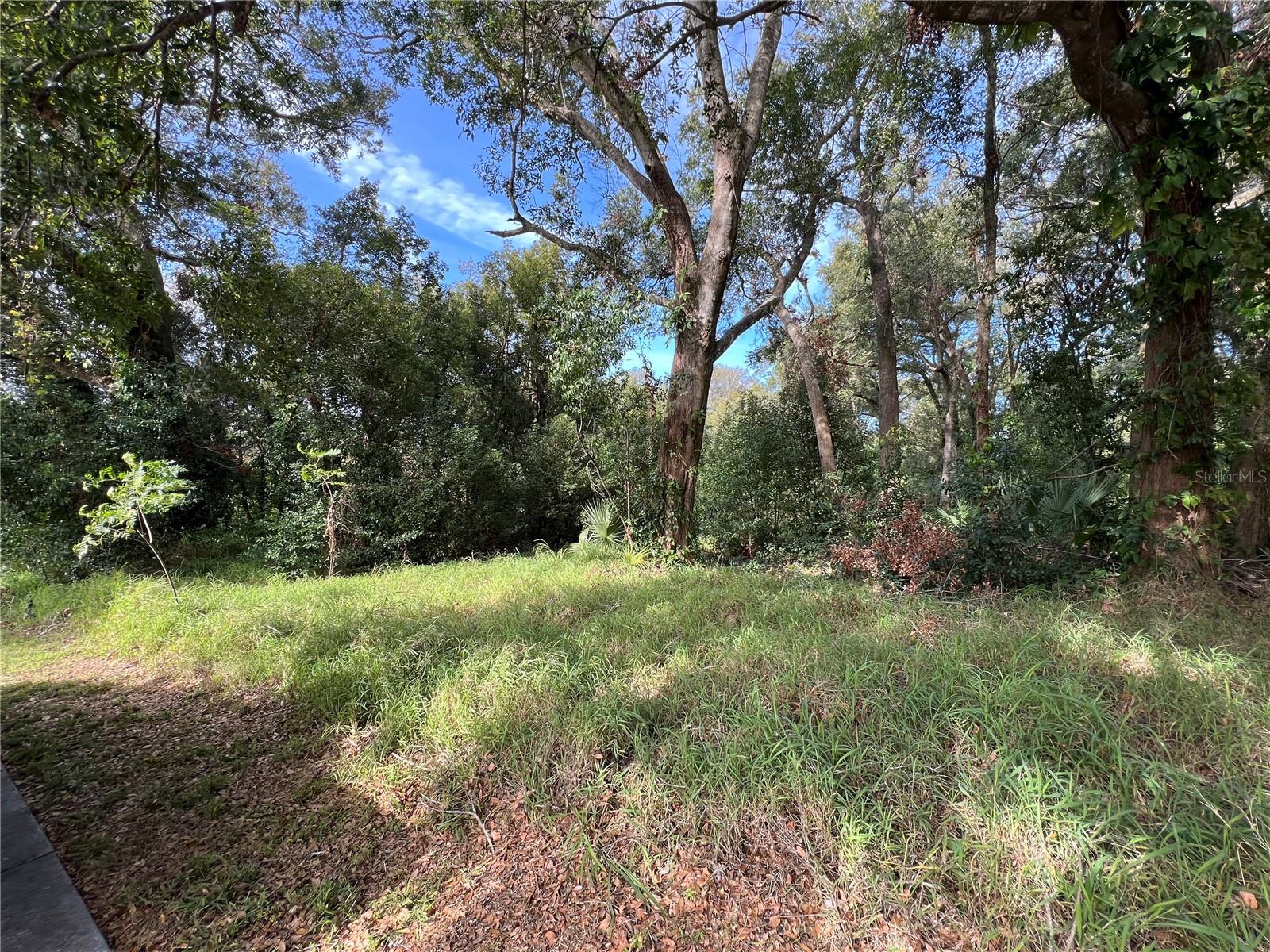 875 OCOEE APOPKA RD, APOPKA, FL