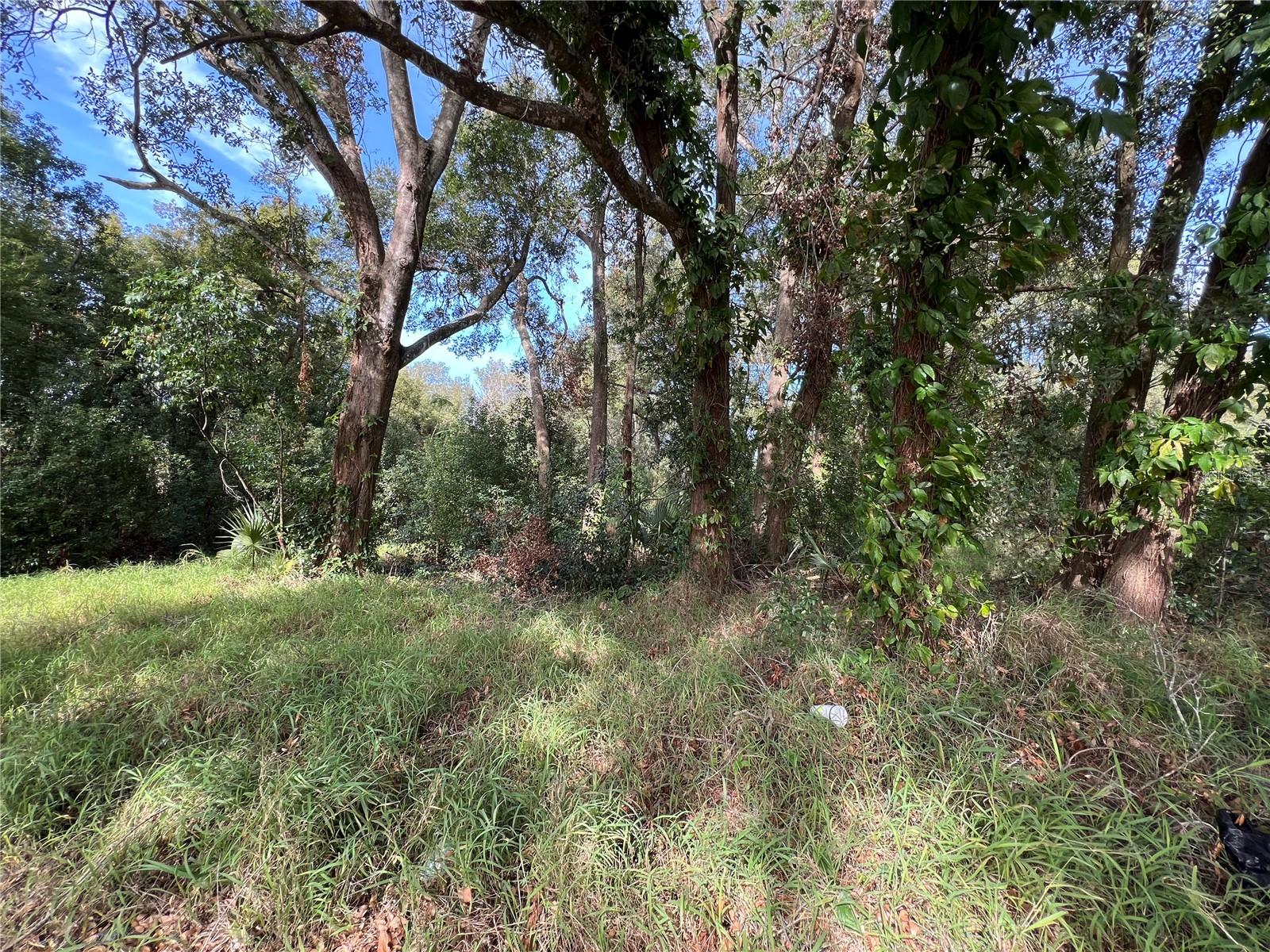 875 OCOEE APOPKA RD, APOPKA, FL — photo 3