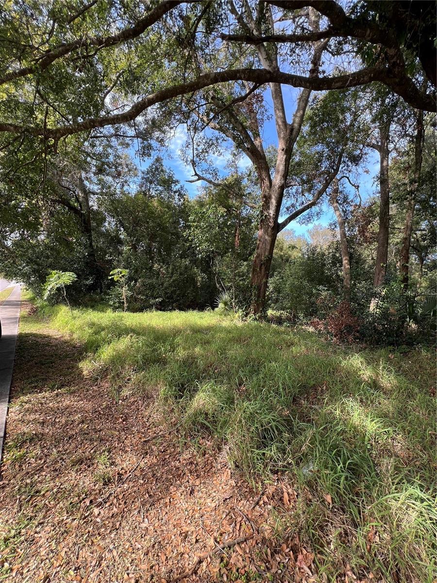 875 OCOEE APOPKA RD, APOPKA, FL — photo 4