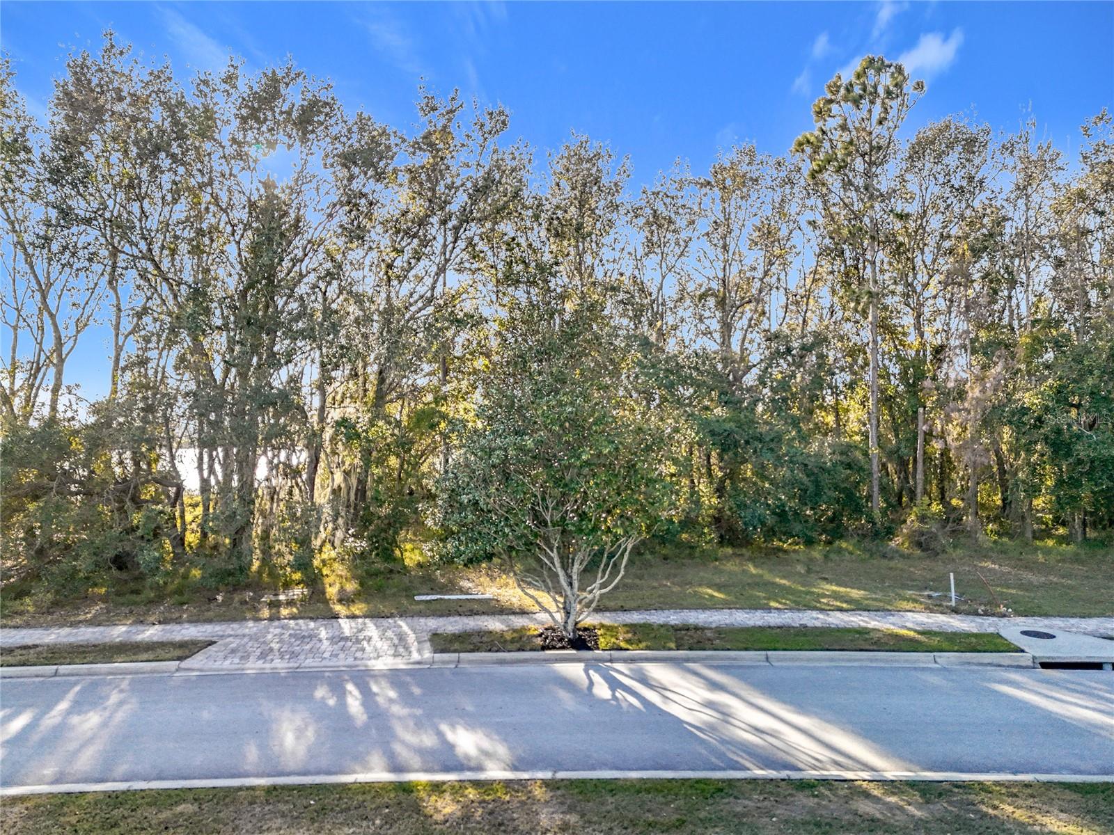 15437 PENDIO DR, MONTVERDE, FL — photo 57