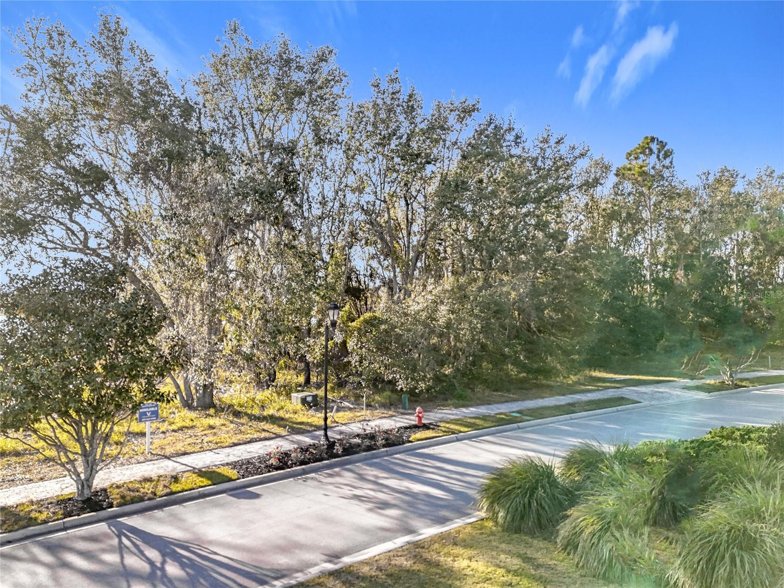 15437 PENDIO DR, MONTVERDE, FL — photo 63
