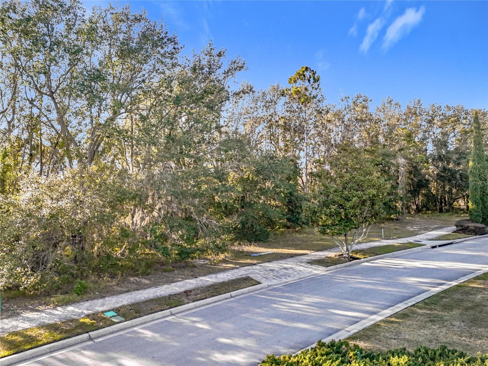 15437 PENDIO DR, MONTVERDE, FL — photo 65
