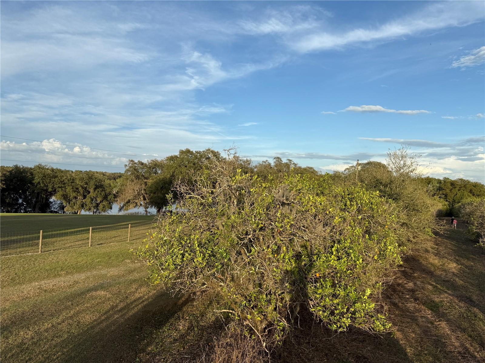 SE 165TH AVE, WEIRSDALE, FL