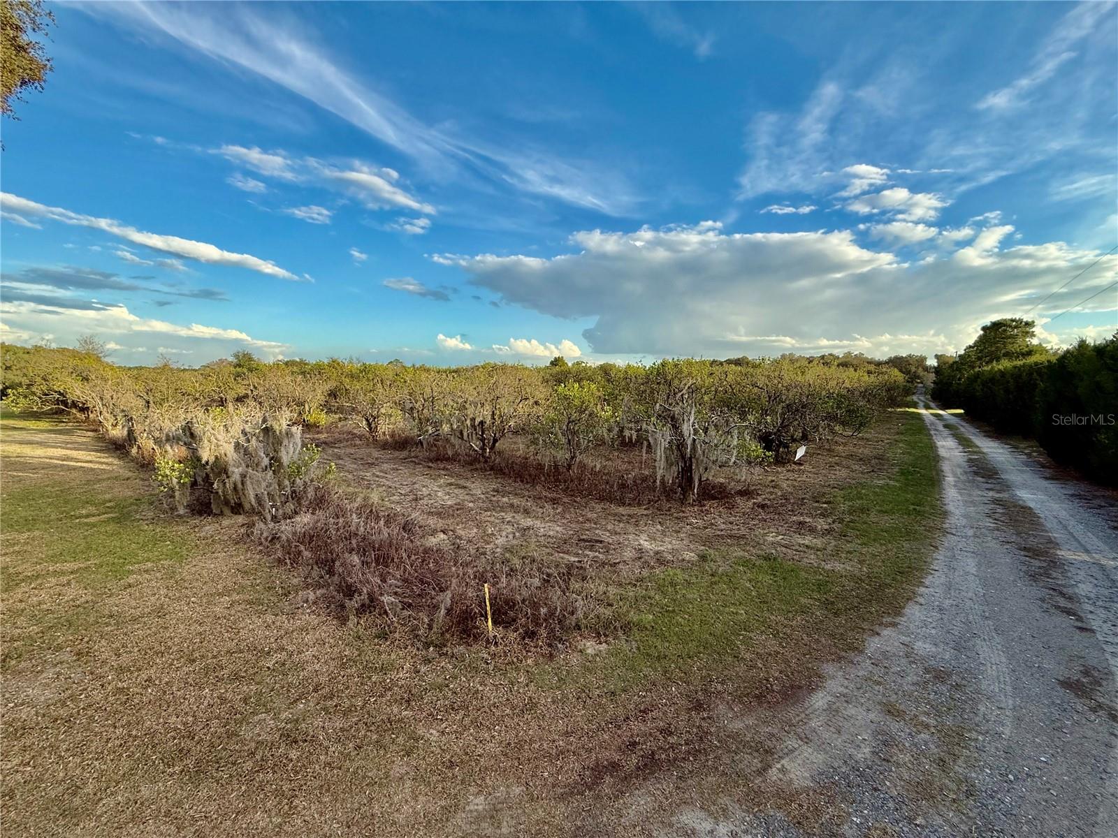 SE 165TH AVE, WEIRSDALE, FL — photo 3