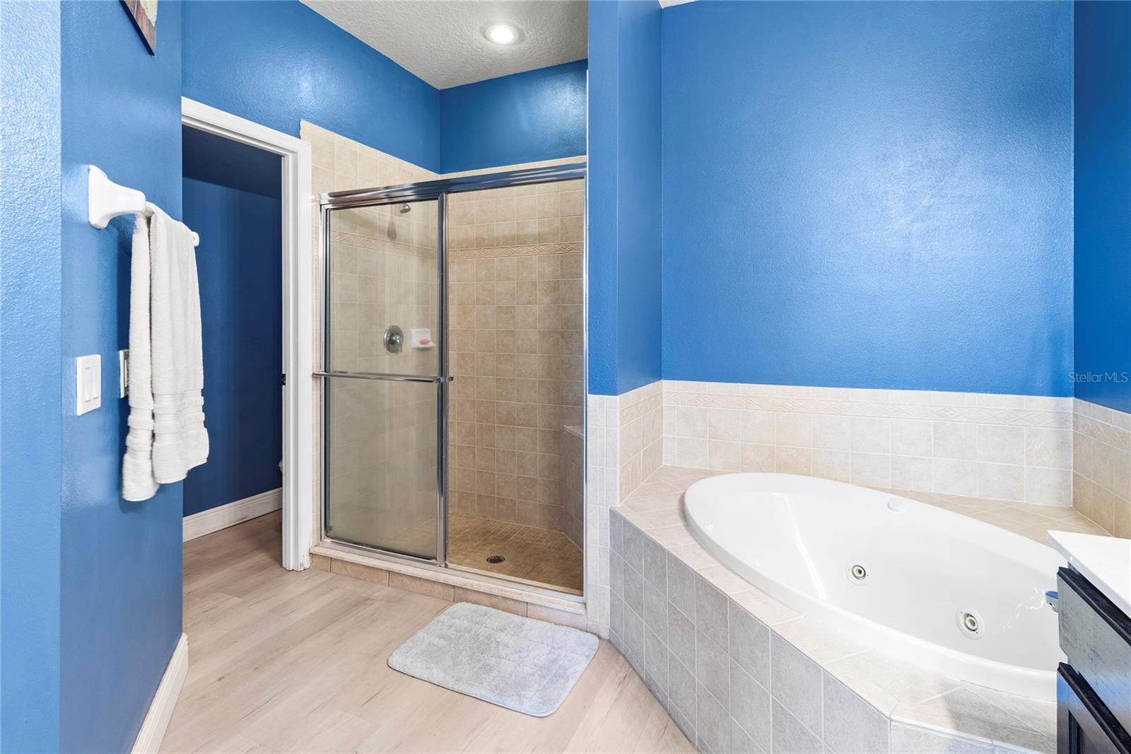 5715 SPANISH POINT CT, PALMETTO, FL — photo 32