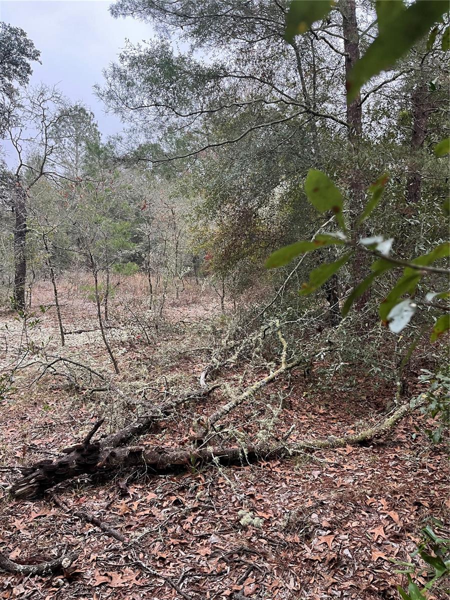 Lot 36 SW MONINES CT, DUNNELLON, FL — photo 9