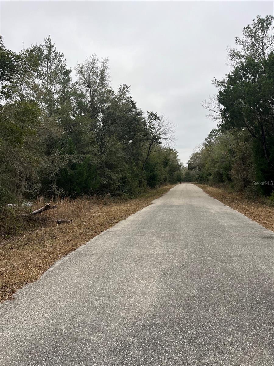 Lot 36 SW MONINES CT, DUNNELLON, FL — photo 19